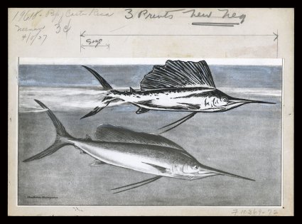 186P-88P, 1937 2c-10c National Exhibition, production file, with three different enlarged artwork for the Fish, Banana and unadopted Piracy designs, three handpainted and
photographic models, 5c and 10c large die proofs, some original photograph