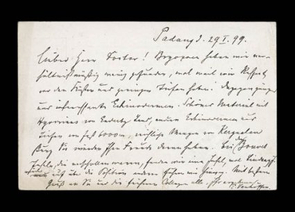 1898-99 German Deep Sea Expedition, Netherlands Indies 7 12c postal card from Pedang to Berlin, with Padang30.1.1899 squared circle pmks., written on board the S.S. Valdivia
by Vanhoffen with information about the progress of the expediti