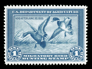 RW1, 1934 $1.00 Blue, exceptionally well centered and margined, strong color, o.g., n.h., extremely fine 2005 PSE and 2007 PF certificates (both grading VF-XF 85 SMQ
$890.00).
