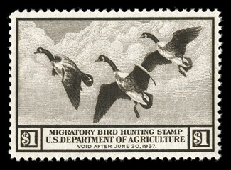 RW3, 1936 $1.00 Brown black, excellent centering within large margins, strong color, o.g., n.h., extremely fine 2004 PSE certificate (XF 90 SMQ $470.00).