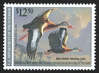 RW57a, $12.50 Multicolored, back inscription omitted, exceptionally fresh, o.g., n.h., a very fine example of this scarce error 1991 PF certificate.