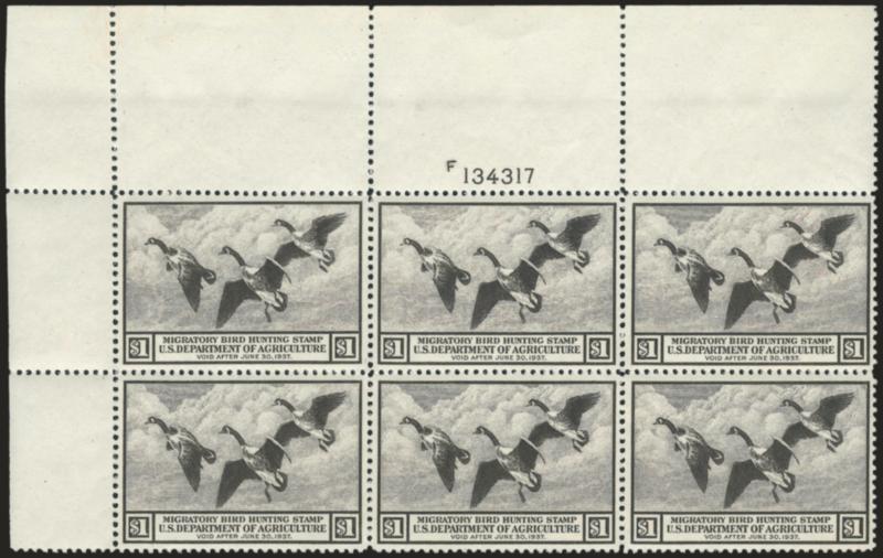 $1.00 1936 Hunting Permit (RW3).> Mint N.H. top left corner plate no. 134317 and letter F block of six, detailed impression, choice centering throughout, very faint natural gum bends not mentioned on
accompanying certificate and of little consequen